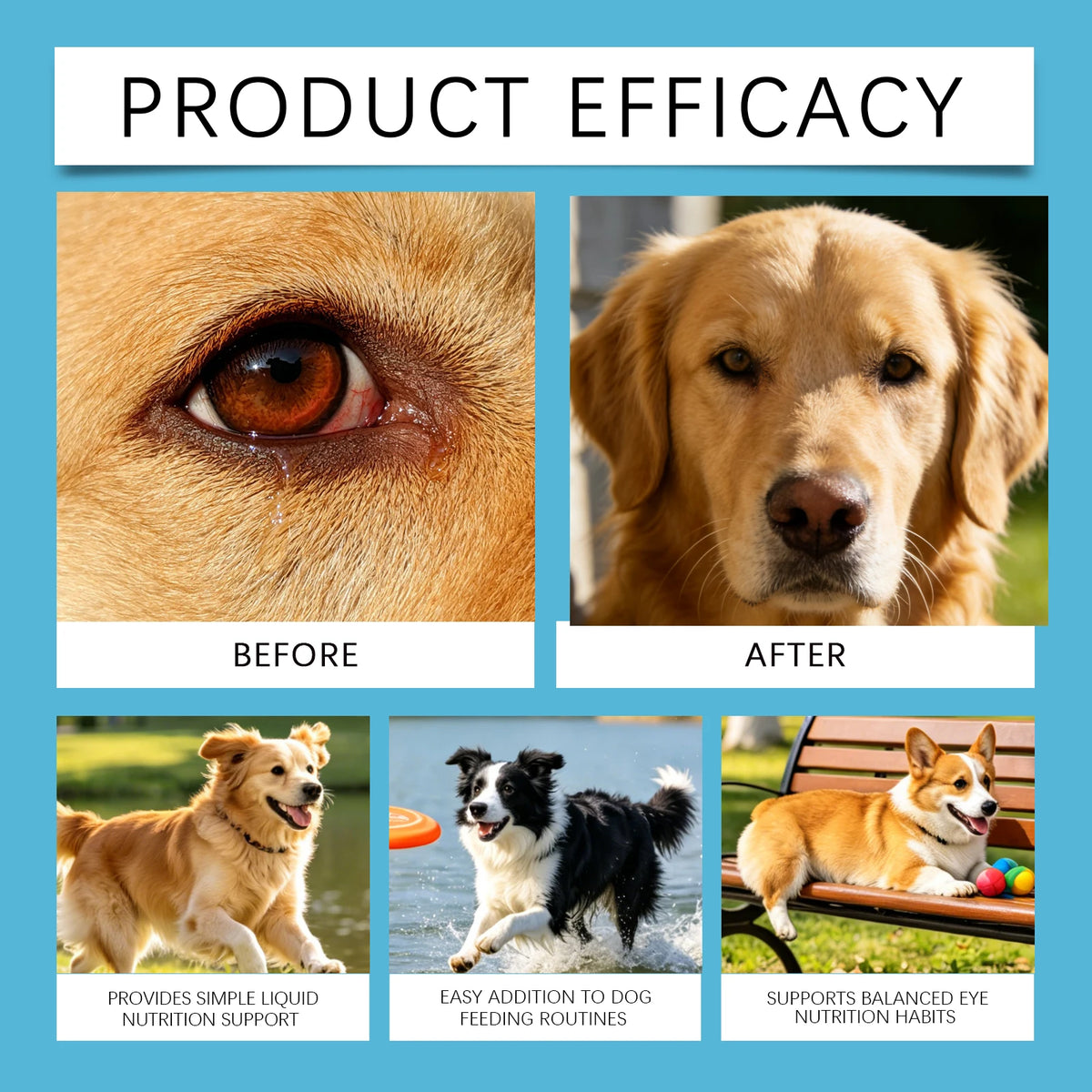 Dog Eye Health Drops